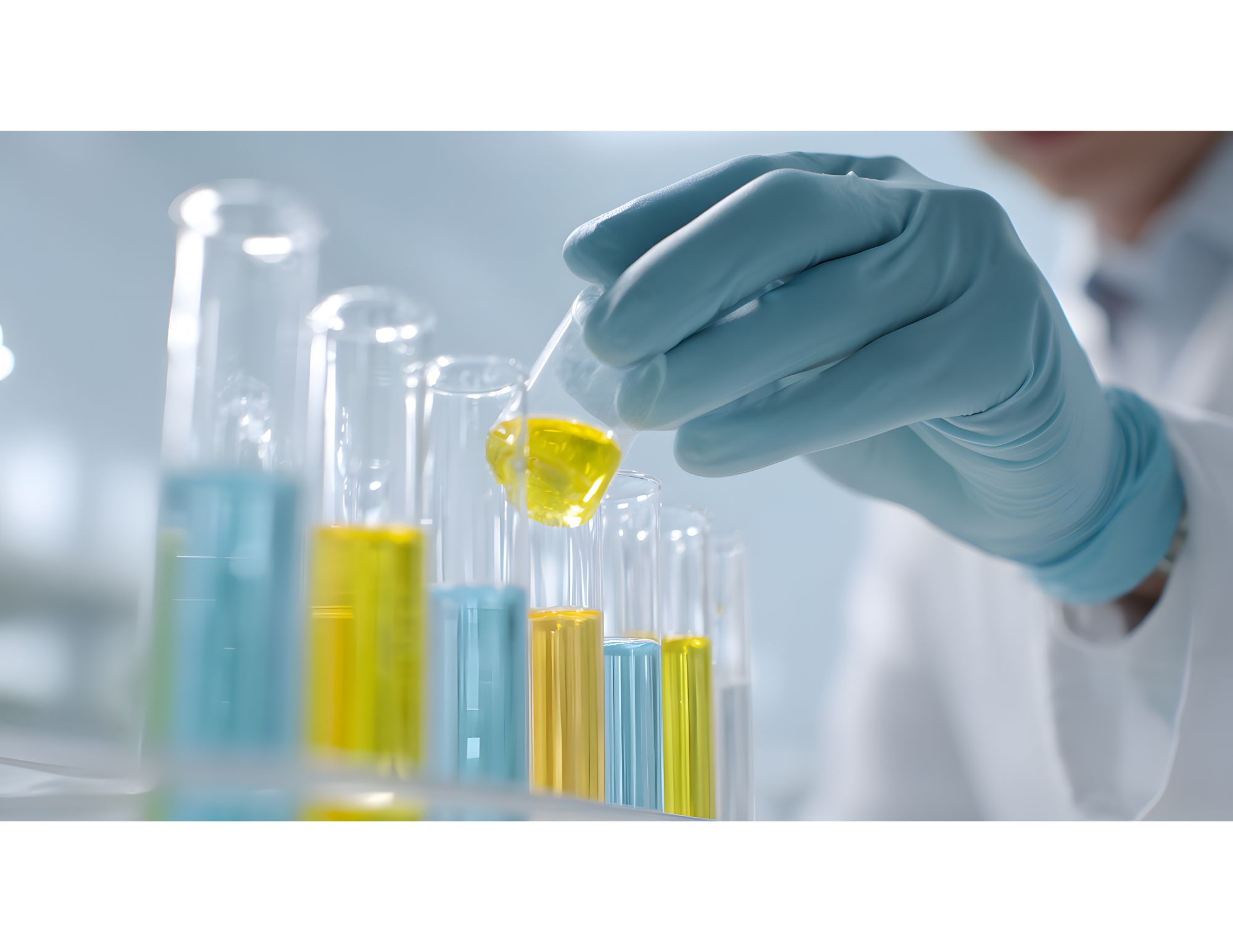 Why Quality Standards Matter in Research Supply